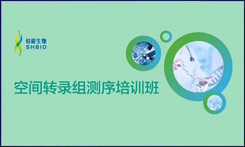開(kāi)班啦 | 伯豪生物空間轉(zhuǎn)錄組測(cè)序培訓(xùn)班