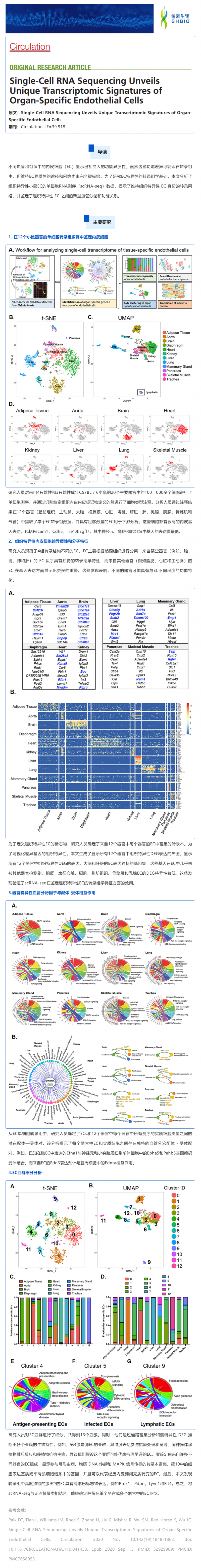 單細(xì)胞測(cè)序揭示器官特異性內(nèi)皮細(xì)胞的獨(dú)特轉(zhuǎn)錄組學(xué)特征