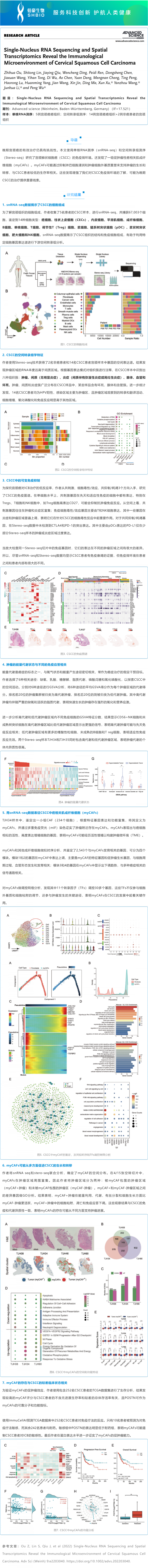 文獻(xiàn)解讀 | 單核 RNA 測序和空間轉(zhuǎn)錄組學(xué)揭示宮頸鱗狀細(xì)胞癌的免疫微環(huán)境