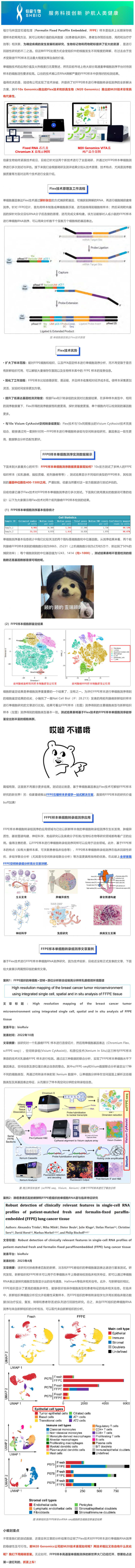 用證據(jù)說話——實(shí)測 FFPE 樣本進(jìn)行單細(xì)胞測序狠好使！