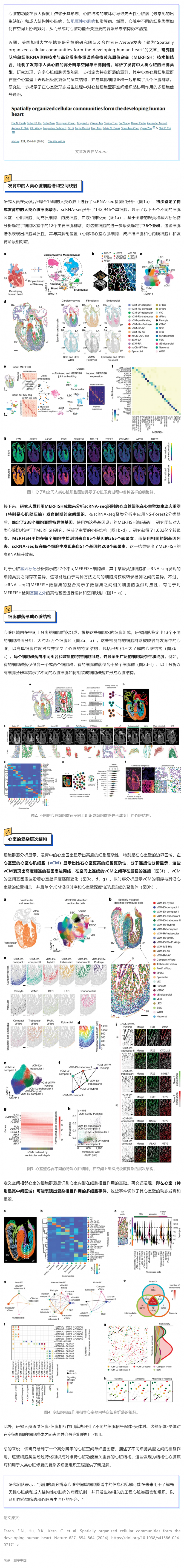 Nature| 利用 RNA 測序和空間成像技術成功構建高分辨率人類心臟空間單細胞圖譜