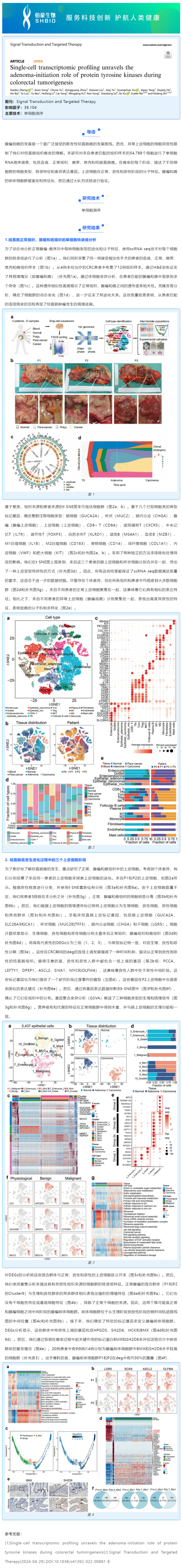 5 月 6 日文獻(xiàn)解讀 | 單細(xì)胞轉(zhuǎn)錄組分析揭示了蛋白酪氨酸激酶在結(jié)直腸腫瘤發(fā)生過程中的作用