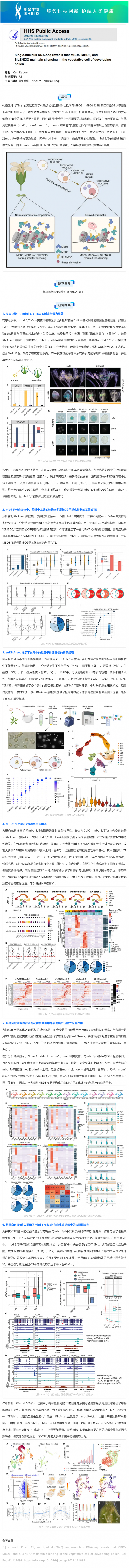 2024-08-16 文獻解讀 _ 單細胞核 RNA 測序表明 MBD5、MBD6 和 SILENZIO 在發育花粉的營養細胞中沉默基