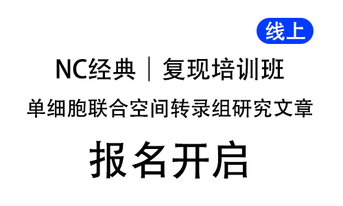 NC 經(jīng)典單細(xì)胞聯(lián)合空間轉(zhuǎn)錄組研究文章復(fù)現(xiàn)培訓(xùn)班，線上開啟！