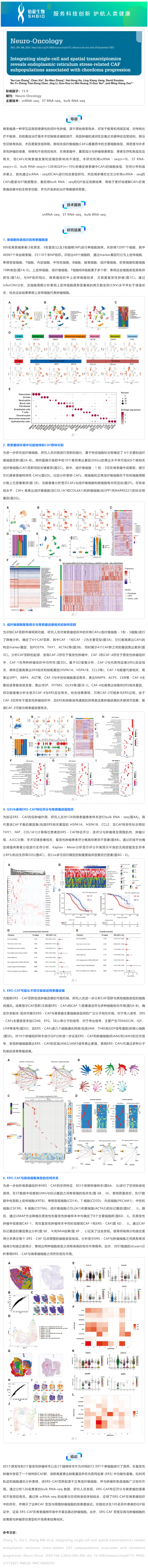 文獻解讀 _ 整合單細胞和空間轉錄組學揭示與脊索瘤進展相關的內質網應激相關 CAF 亞群