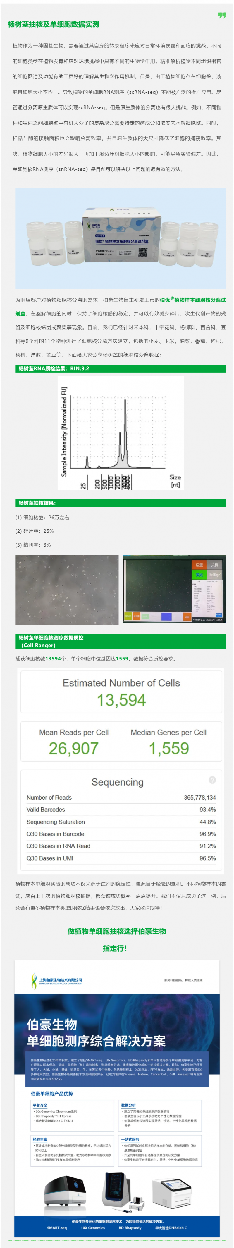 植物抽核哪家強(qiáng)！伯優(yōu)試劑來幫忙！楊樹莖抽核及單細(xì)胞數(shù)據(jù)實(shí)測